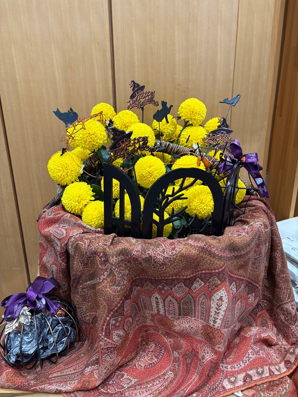 2025年10月27日の週の展示