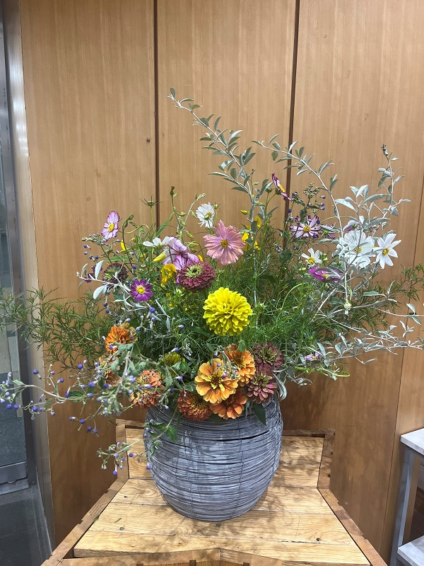 2024年9月30日の週の展示