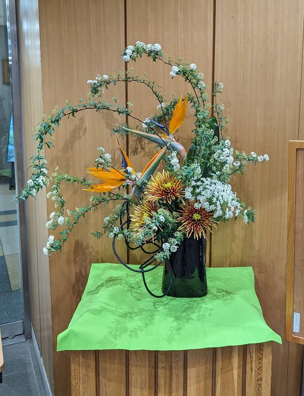 2024年2月5日の週の展示