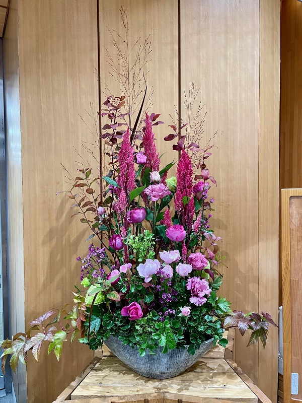 2024年11月11日の週の展示