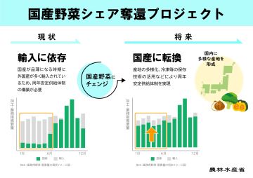 国産野菜シェア奪還プロジェクト