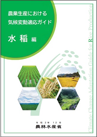 水稲編