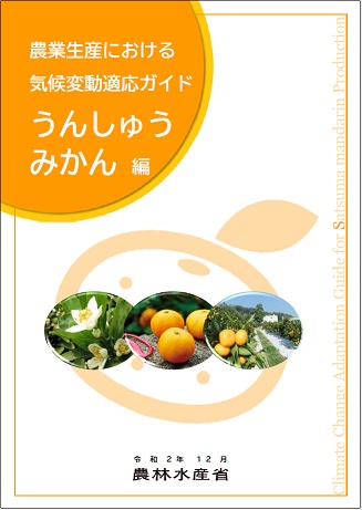みかん編