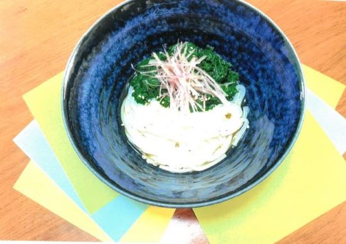 モロヘイヤの稲庭うどん