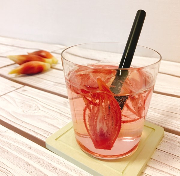 ミョウガのビネガードリンク