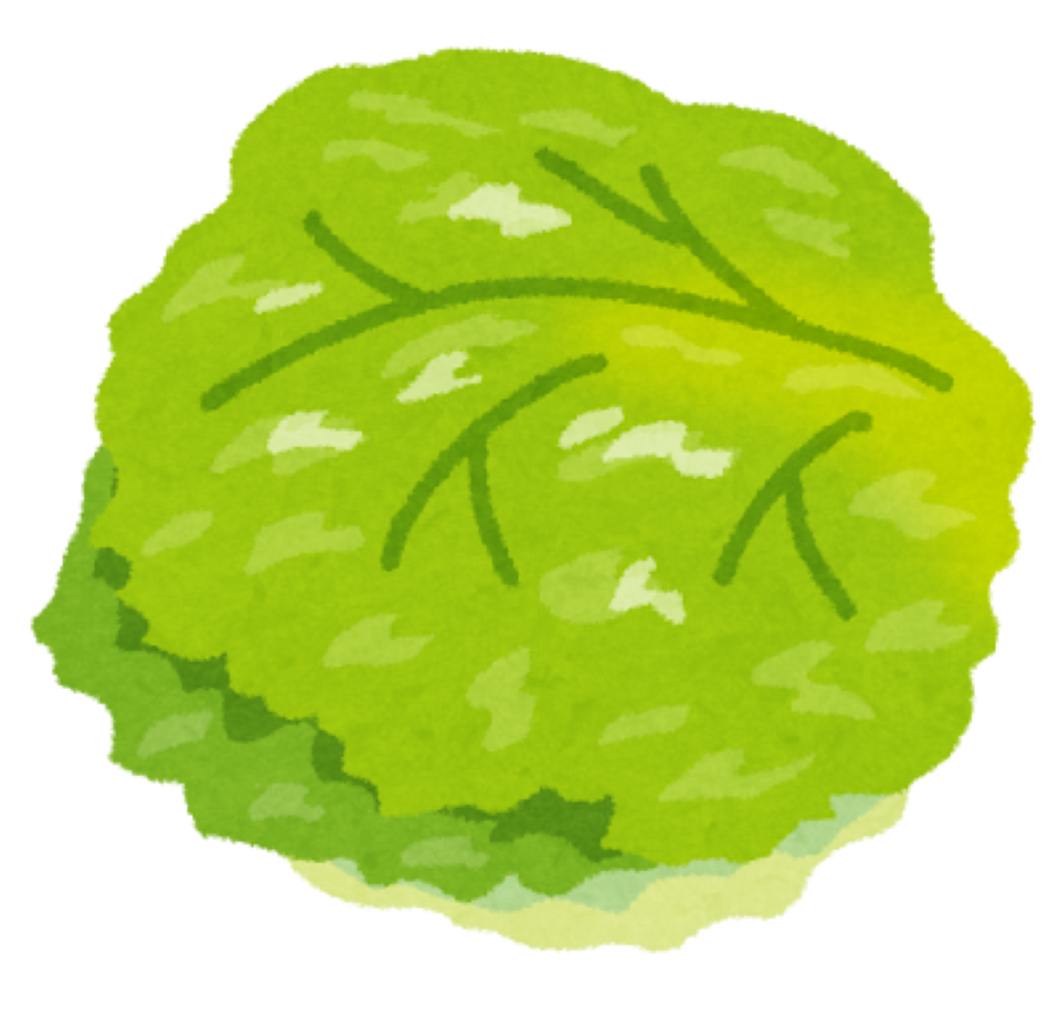 レタスのイラスト
