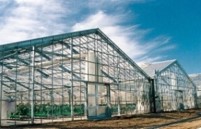 植物工場