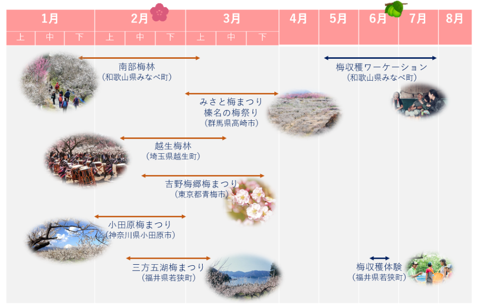 スケジュール