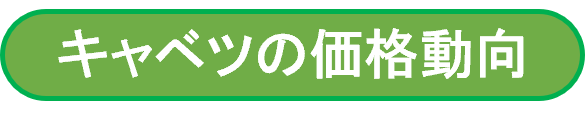 キャベツ