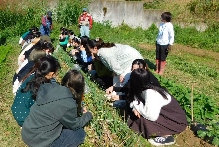 野菜の栽培について学んでいる写真