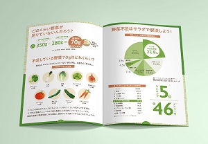 サラダの魅力