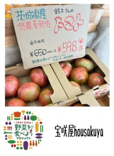 宝咲屋活動写真