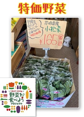 宝咲屋活動写真