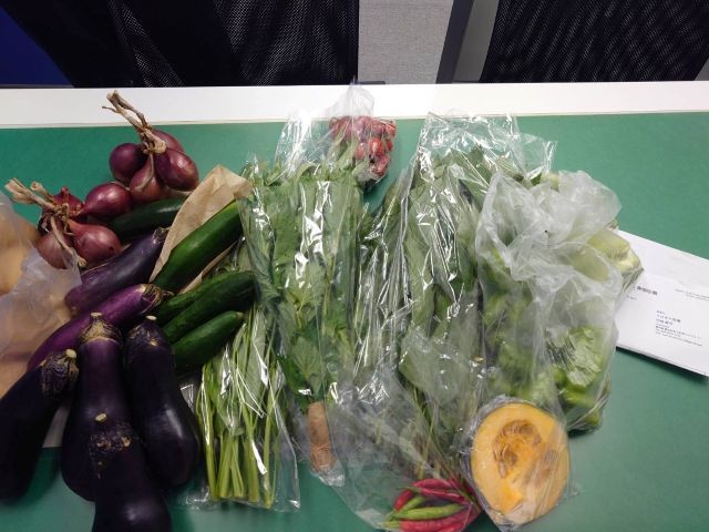 色々な野菜の画像