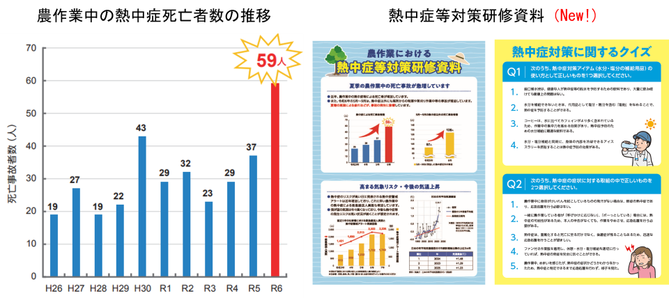 4月のワンポイント