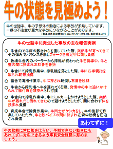 牛の状態