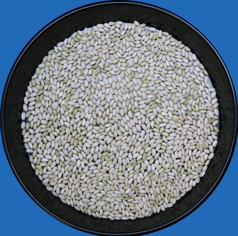 rmochi2_2_1.jpg