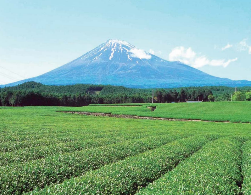 富士山