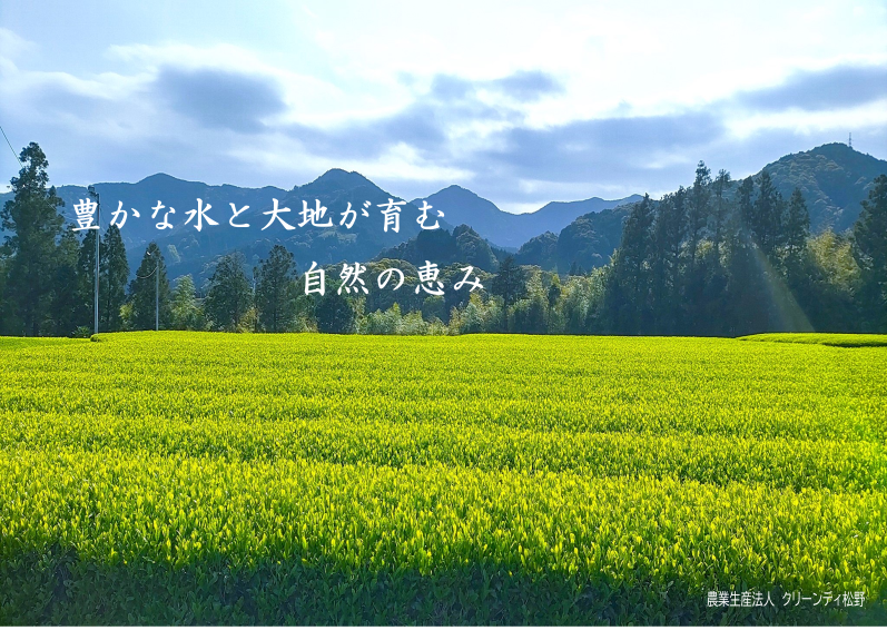 茶畑_クリーンティ松野