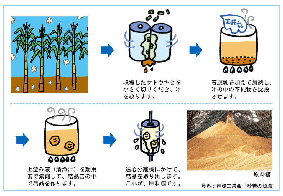 さとうきびから原料糖ができるまで