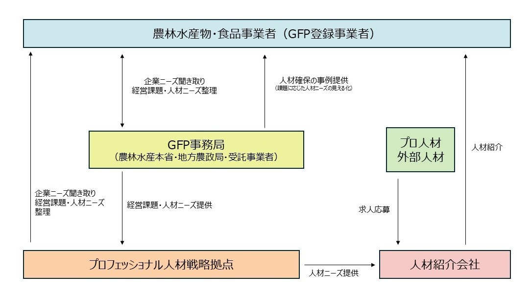 GFPとプロフェッショナル人材戦略拠点の連携図