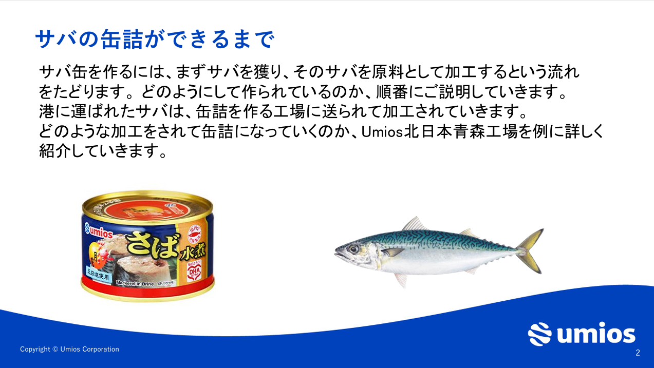 サバ缶2