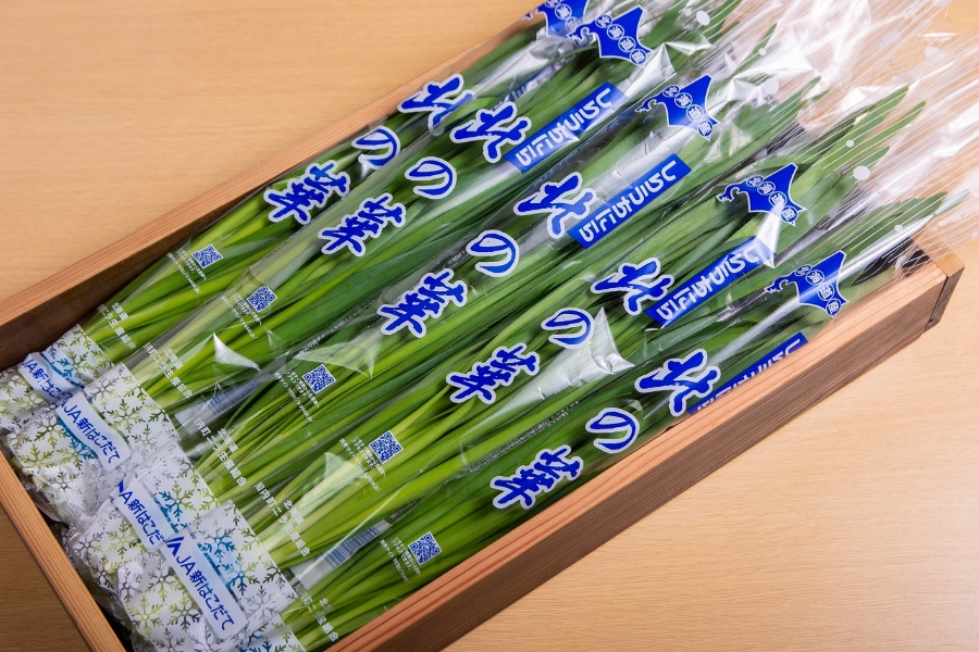 登録産品の画像