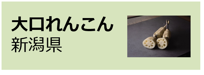Okuchi_Renkon