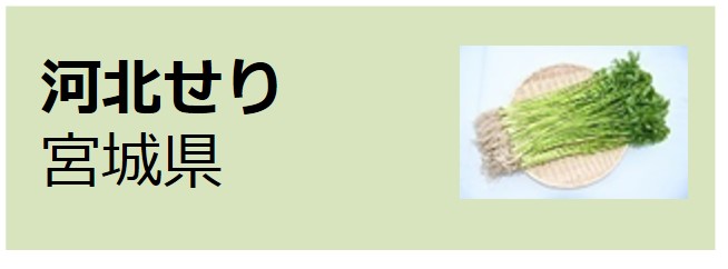 Kahoku_Dropwort