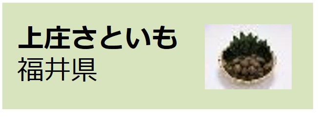 Kamisho_Satoimo