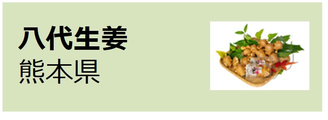 Yatsushiro_Shoga