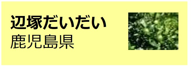 Hetsuka_Daidai
