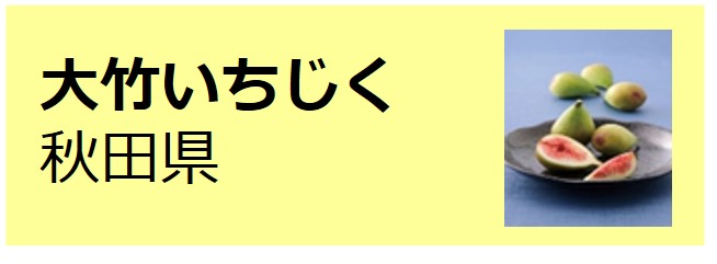 Otake_Ichijiku