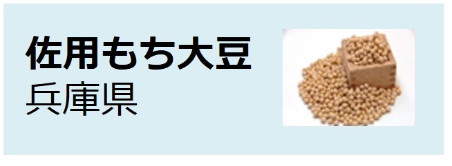 Sayo_Mochidaizu