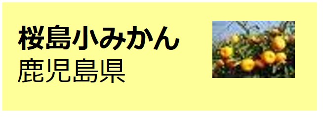Sakurajima_Komikan