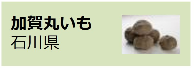 Kaga_Maruimo