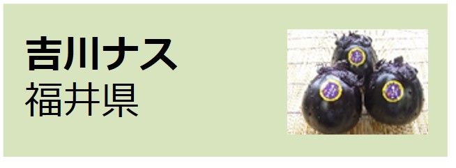 Yoshikawa Nasu