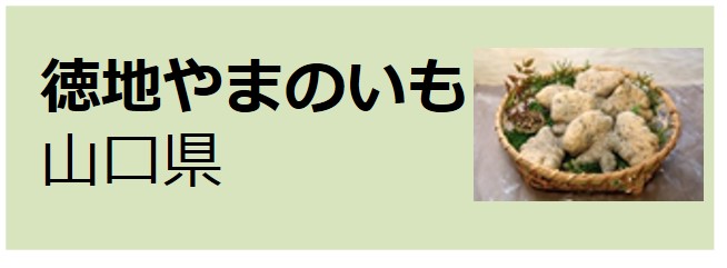 Tokuji_Yamanoimo