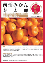 登録産品のパネルサムのネイル