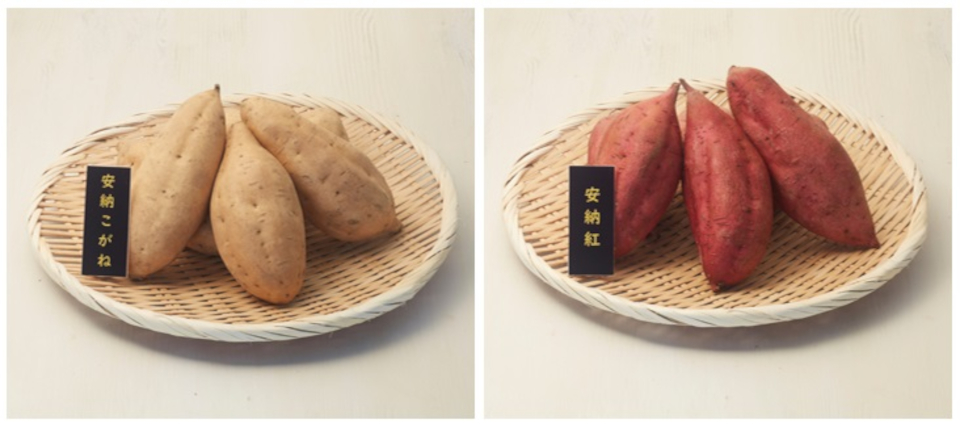 登録産品の画像