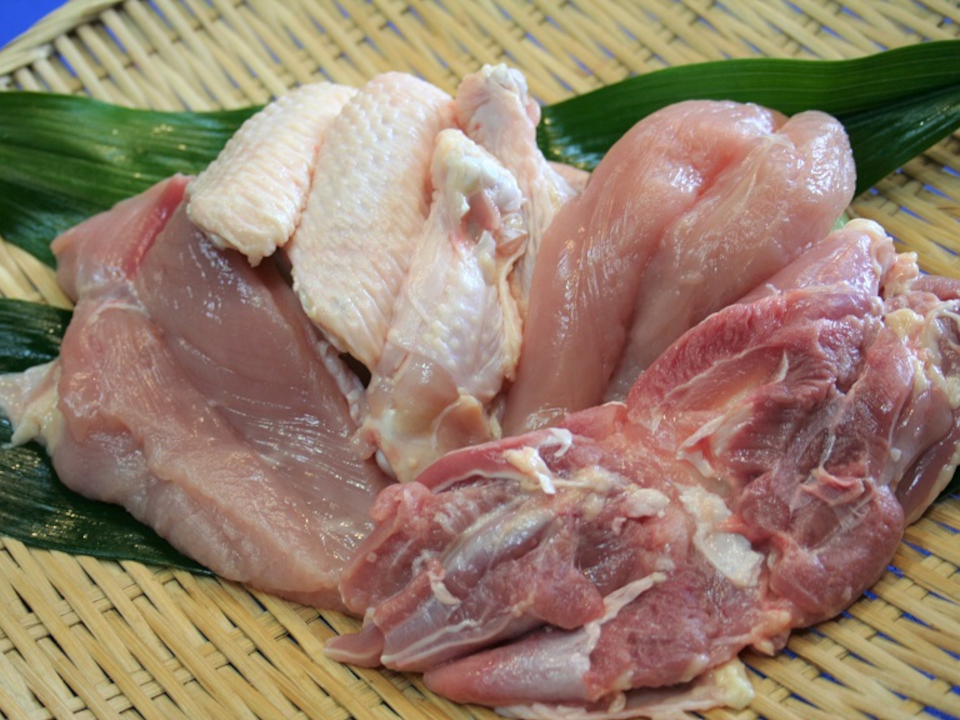 阿波尾鶏