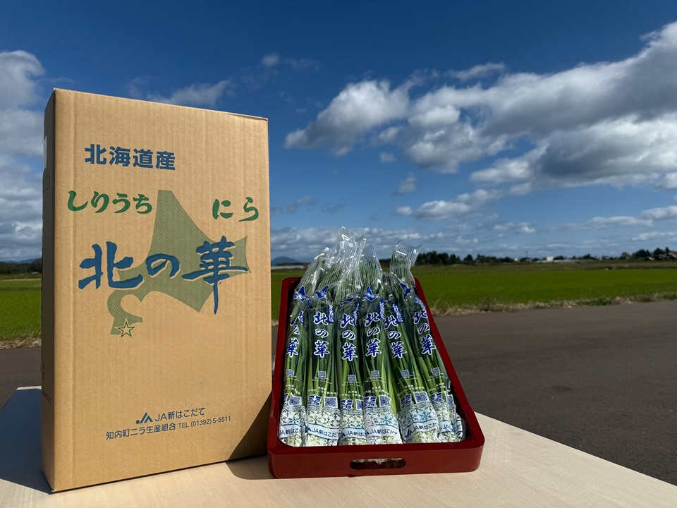 登録産品（しりうちにら北の華）の画像