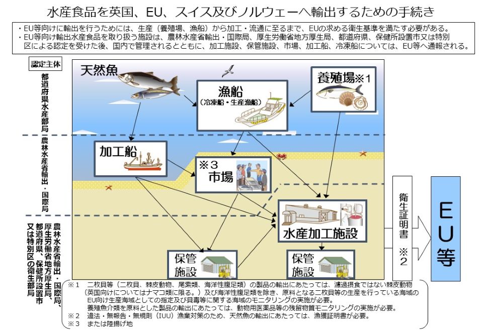 水産食品のEU等への輸出フロー