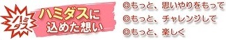 ハミダス