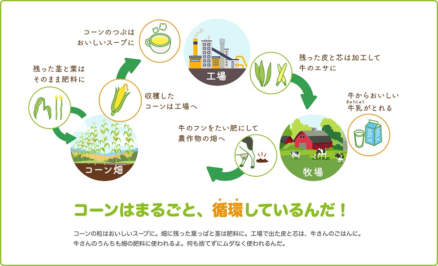 コーンの循環