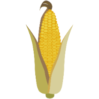 とうもろこし絵