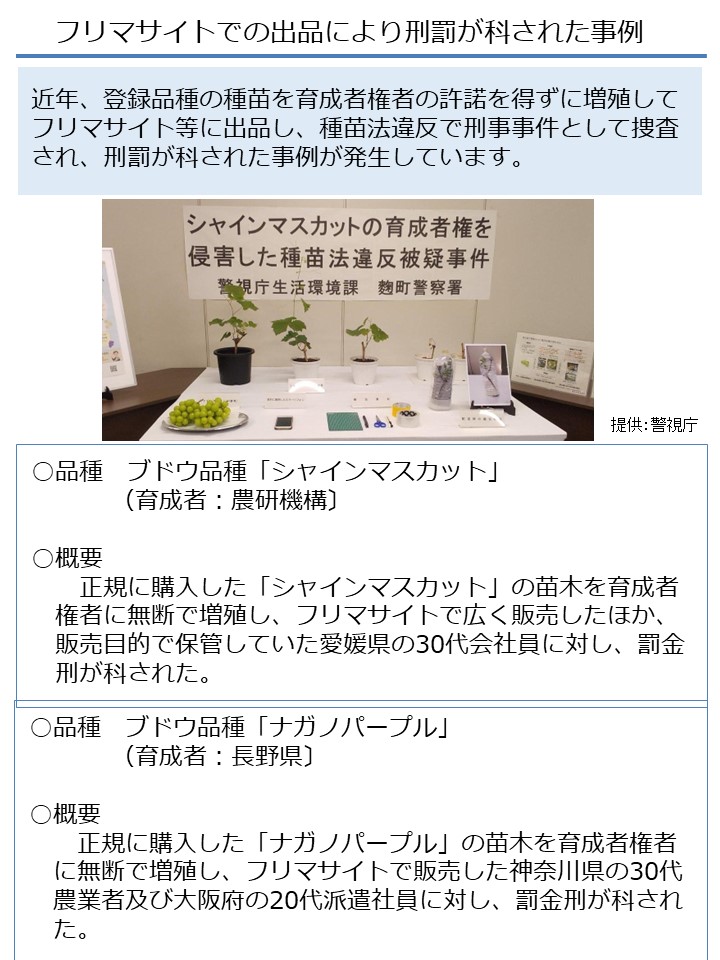 フリマサイトでの出品により刑罰が科された事例1
