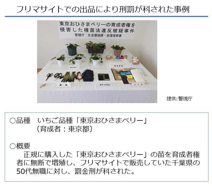 フリマサイトでの出品により刑罰が科された事例2