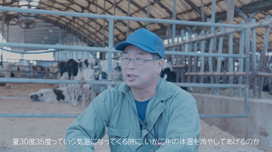酪農の現場の苦労