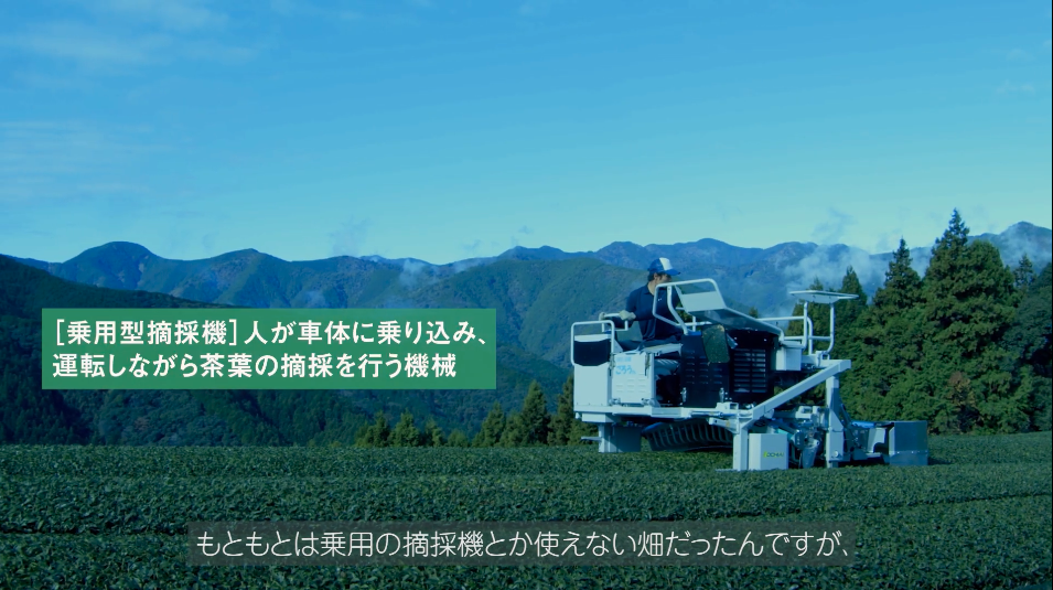 乗用型摘採機